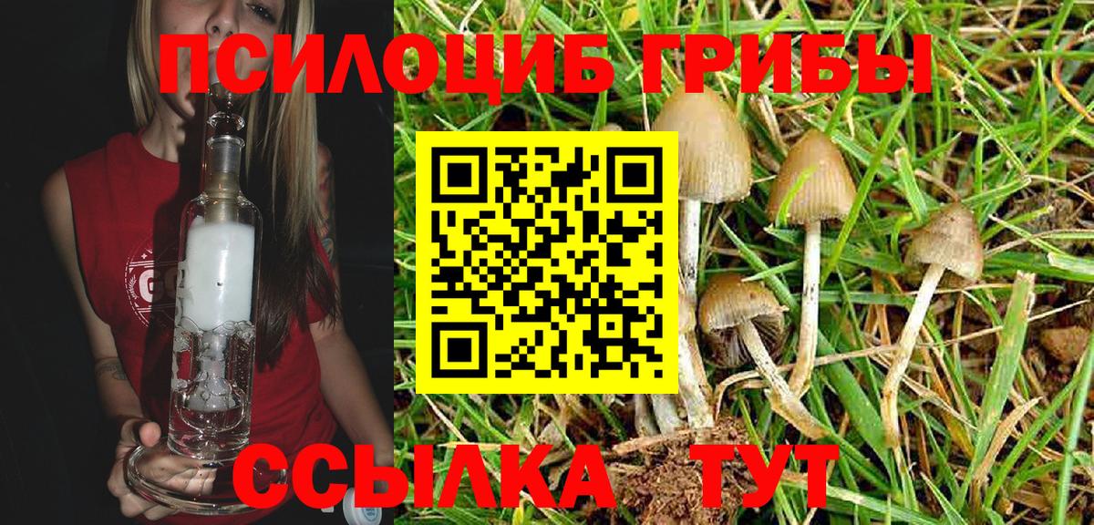 Галлюциногенные грибы Cubensis Подольск